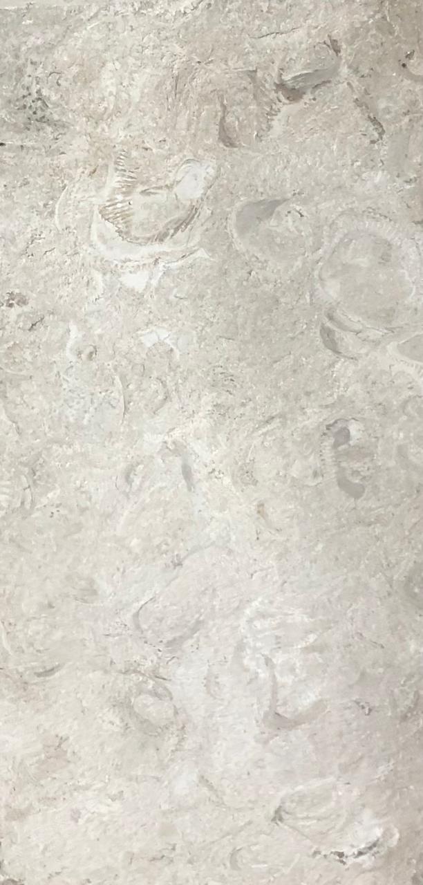 Mohi Stone